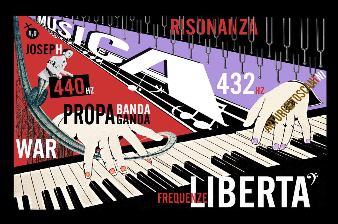 ARTICOLO 6